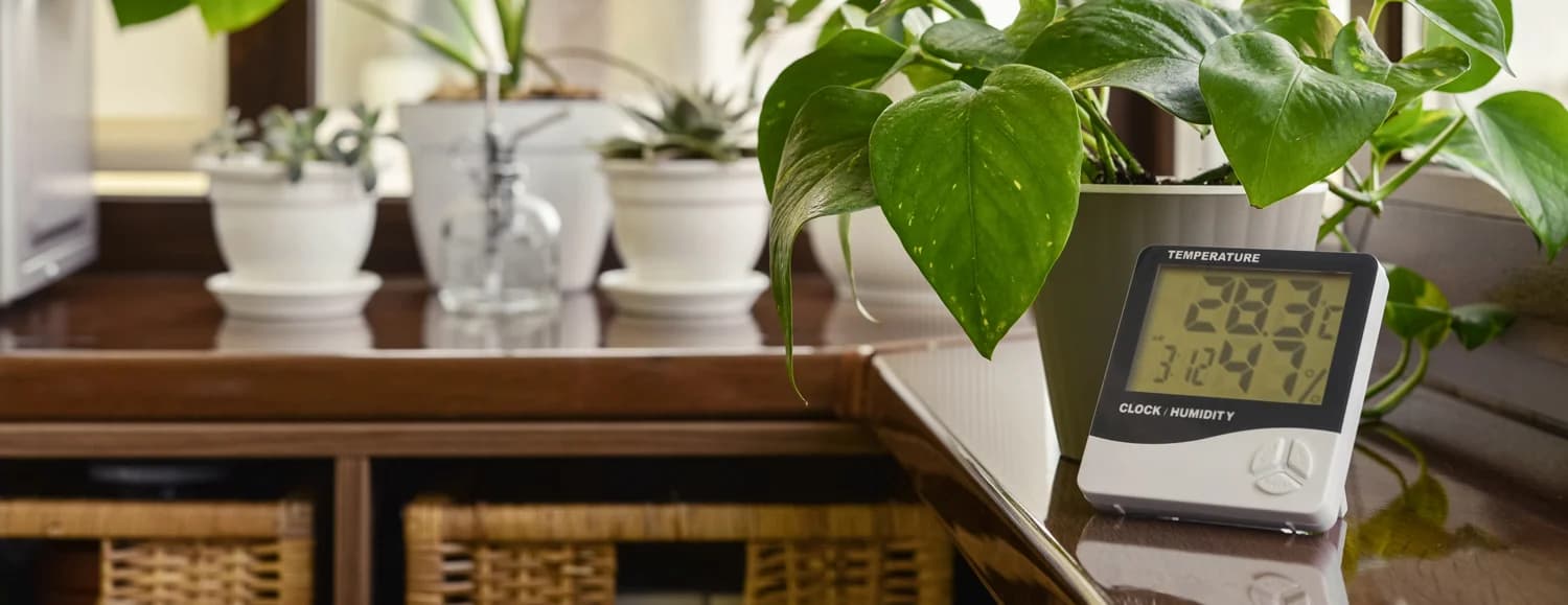 Sustainable packaging materials including recycled boxes and biodegradable fillers